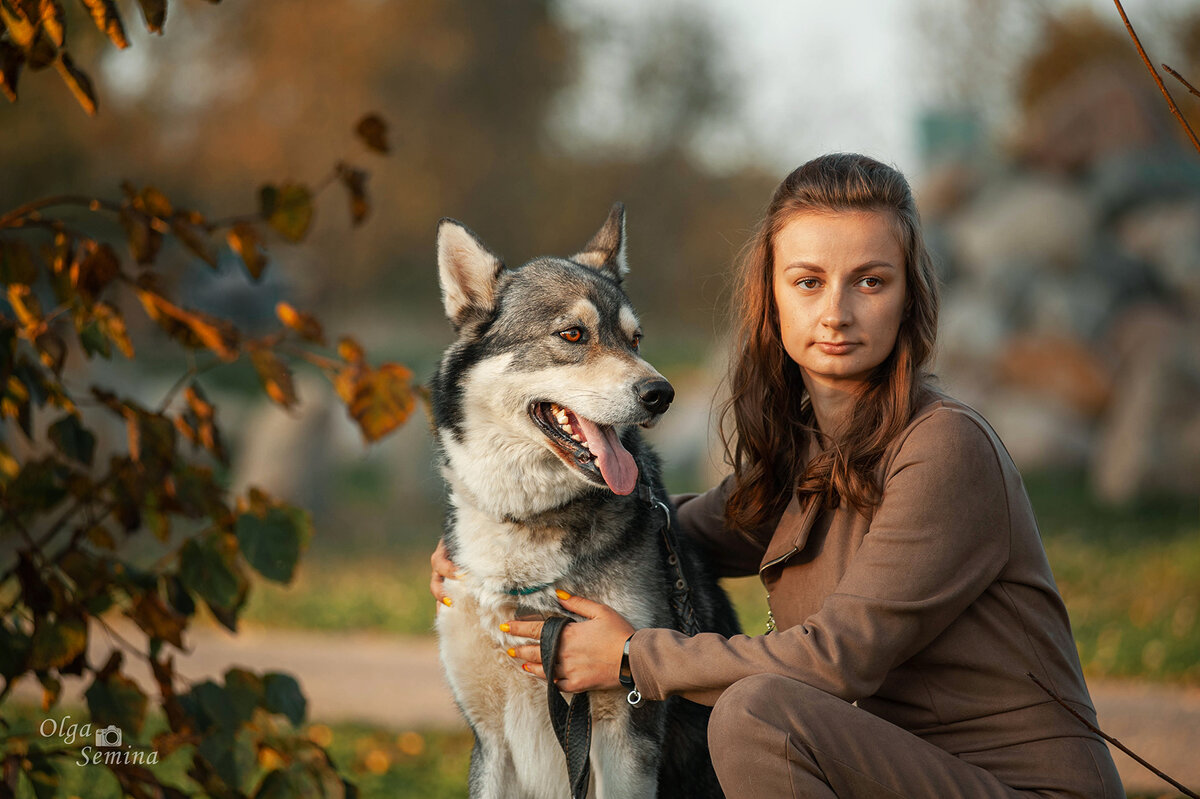 Дружба человека и собаки - Ольга Семина