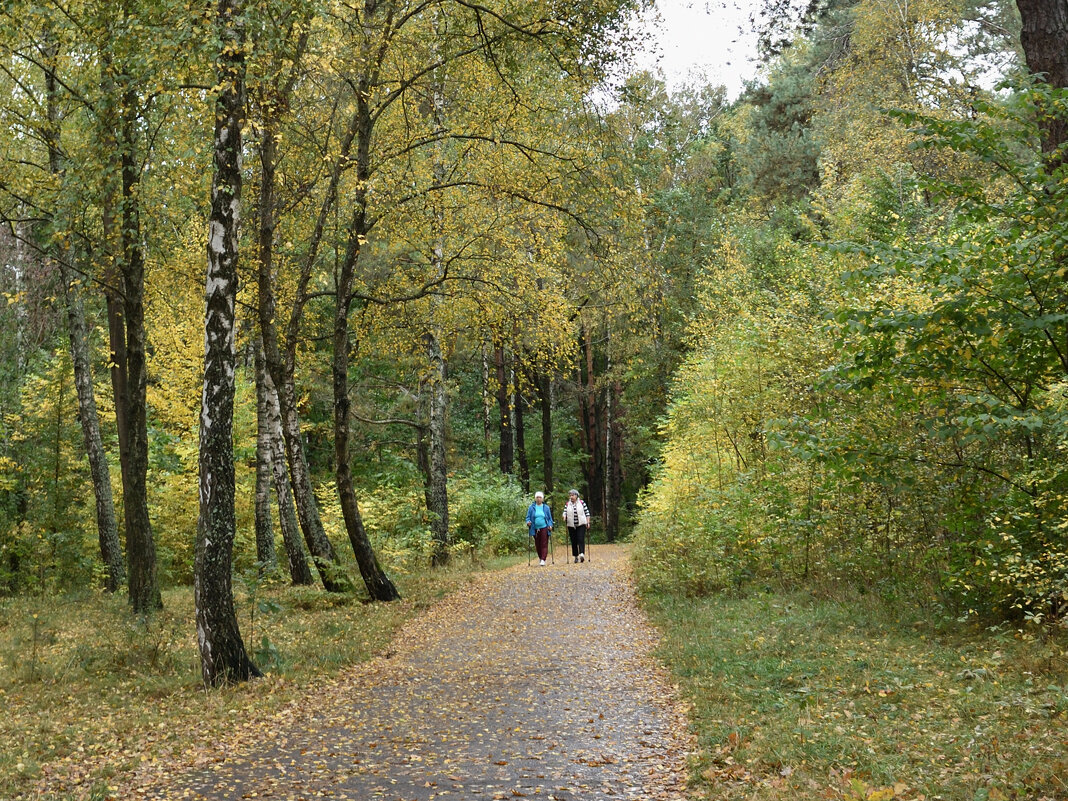 Прогулка в осеннем парке - Gera 