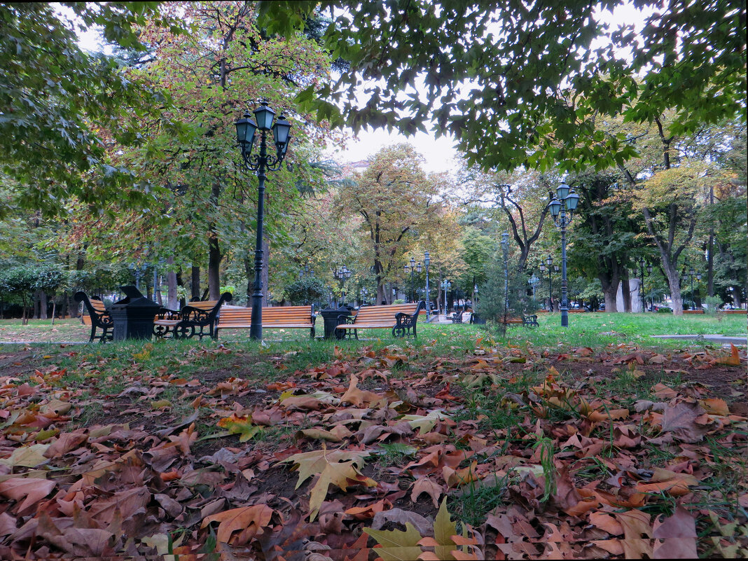Осенний парк - Наталья (D.Nat@lia)