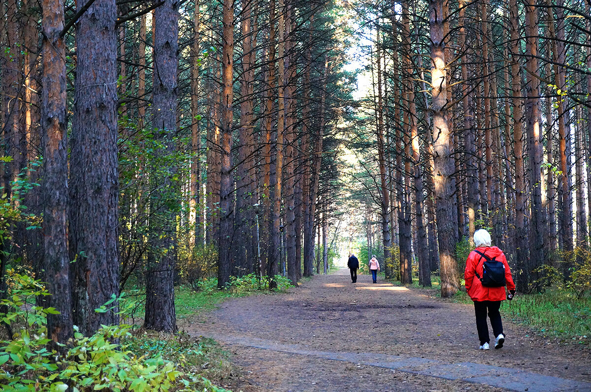 Прогулка в Академгородке Красноярска - Екатерина Торганская