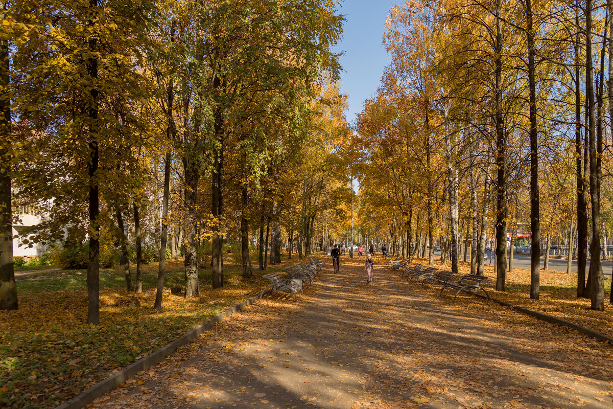 Прогулка по  осеннему городу. - Анатолий Грачев