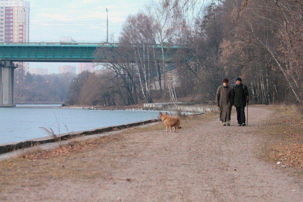 Прогулка - Дмитрий Балашов