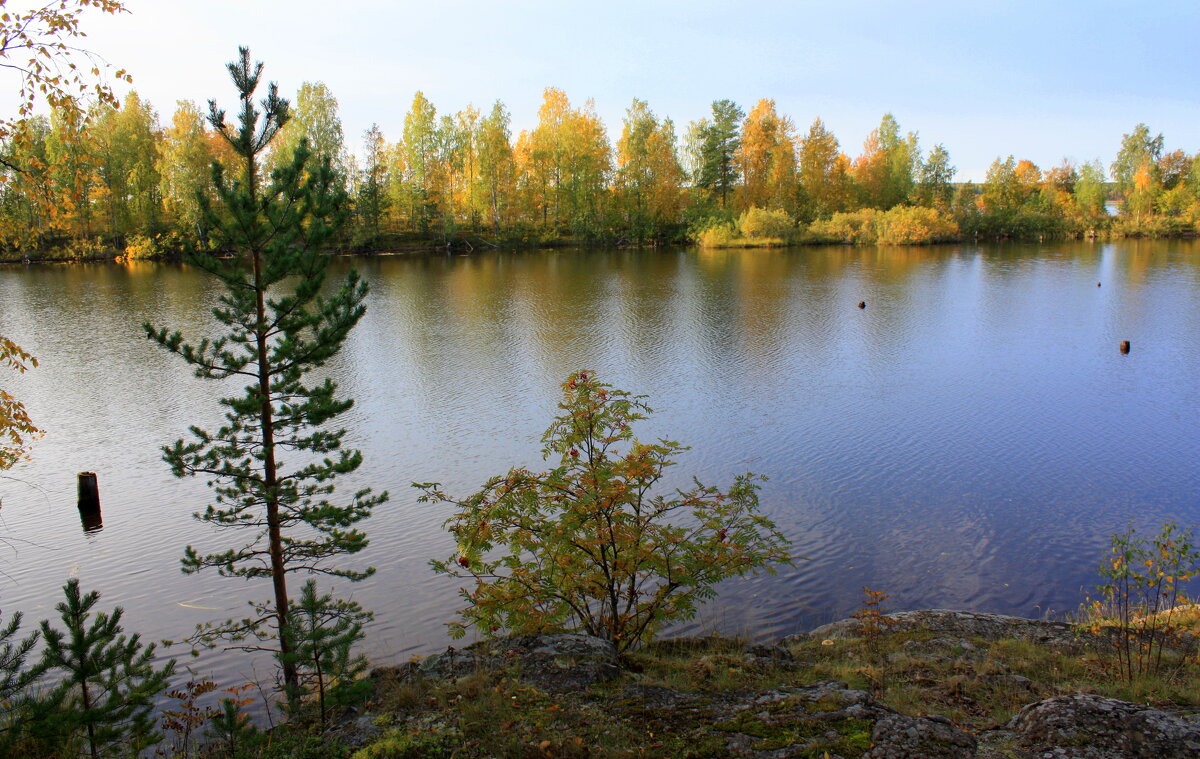 Осень - Николай Гренков