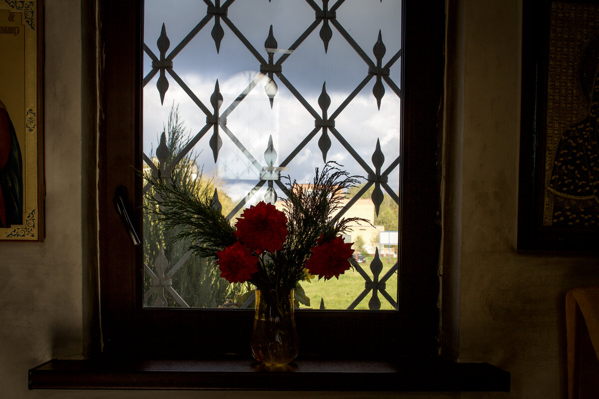 Цветы у окна - Геннадий Коробков