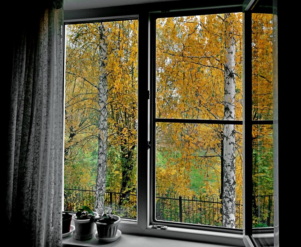 Осень за окном - Mikhail Irtyshskiy