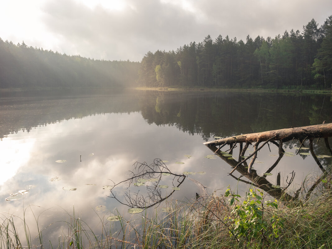Утро на лесном озере - Владимир Машко