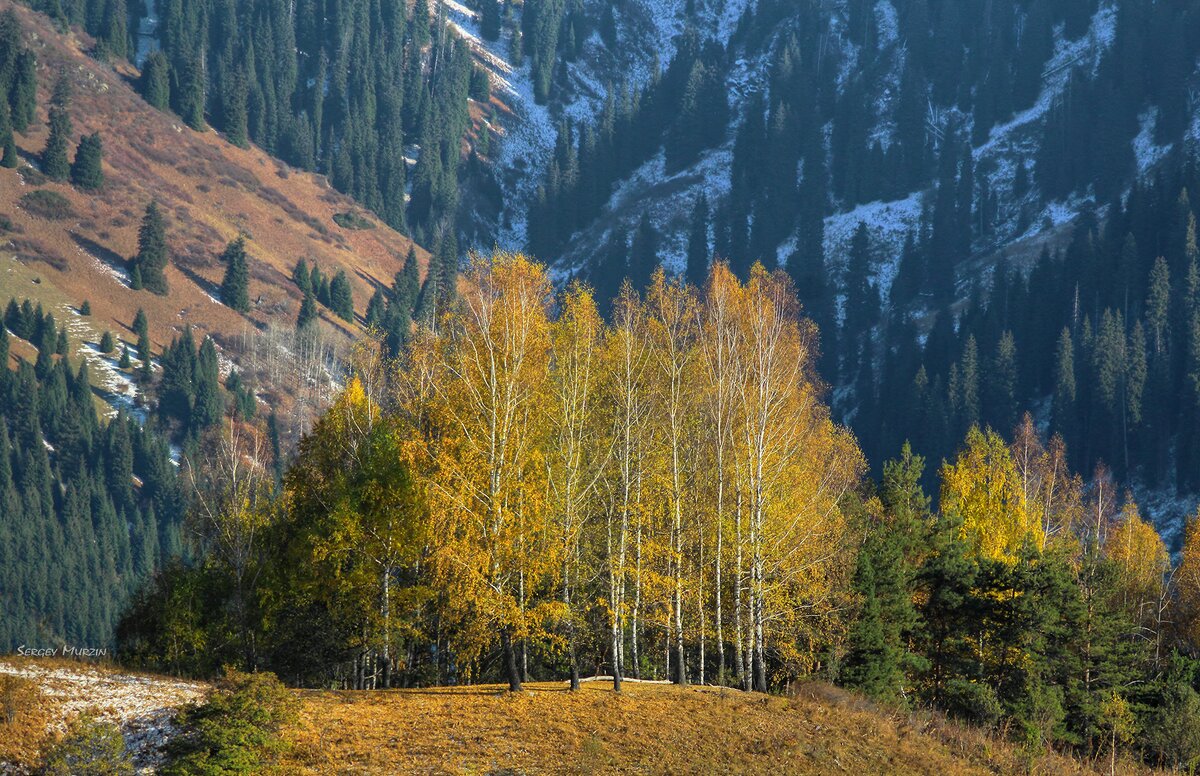 Осень в горах - Сергей Мурзин