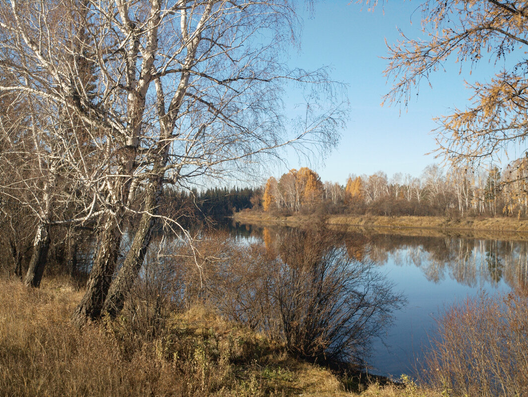 Осеннее утро - Николай 