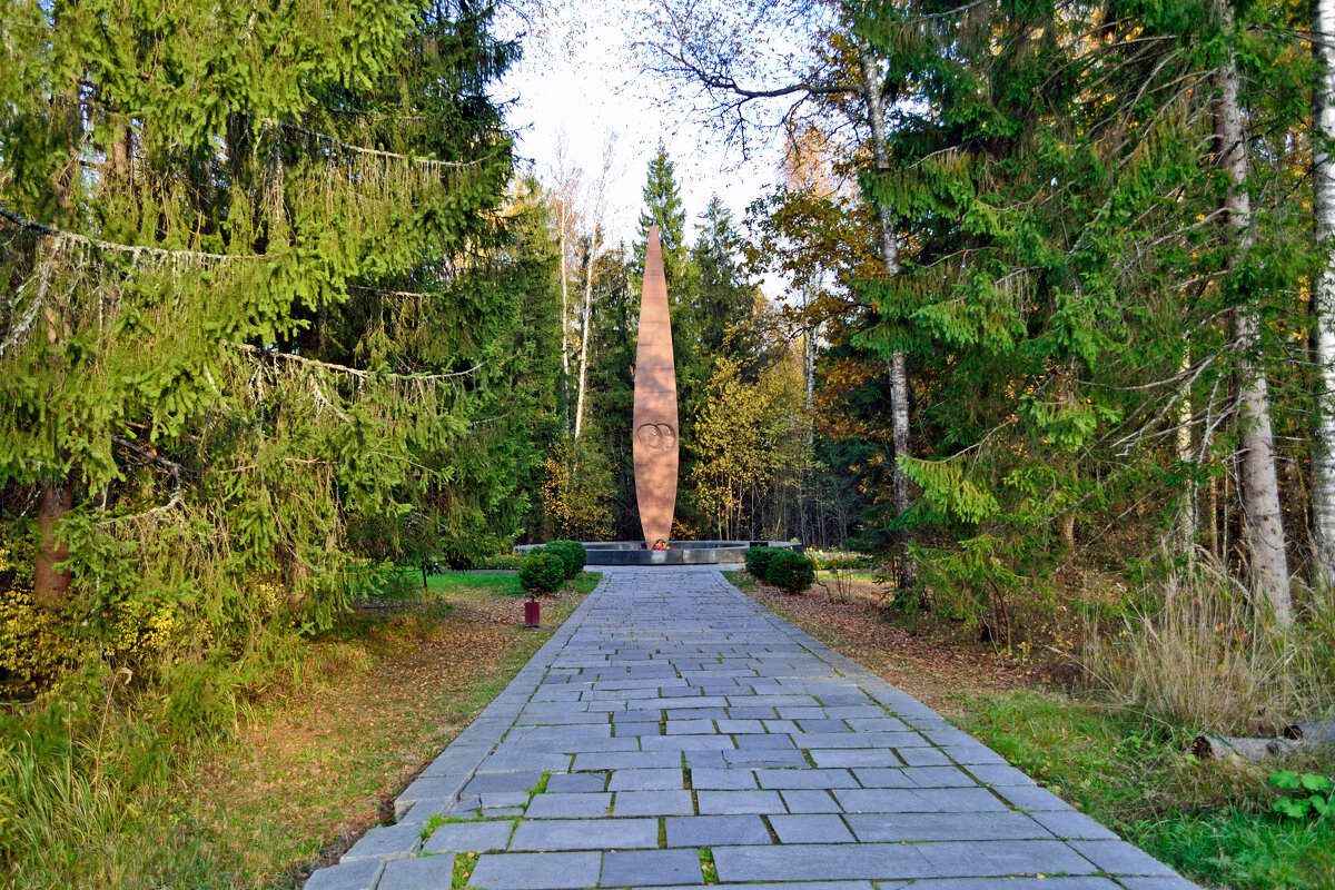 Мемориал на месте гибели Гагарина и Серегина - Grach 
