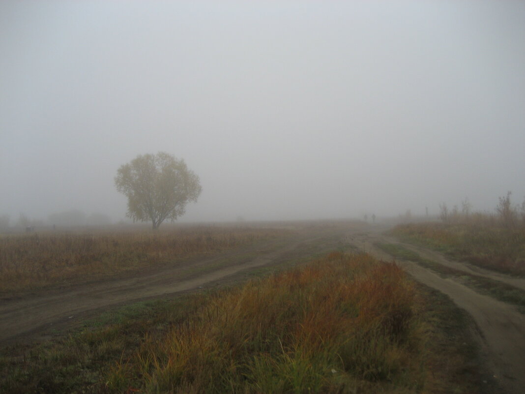 Прогулки в тумане - Anna Ivanova