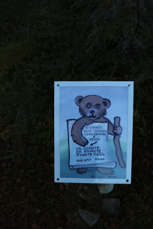 Плакат у входа в лес - Ольга 