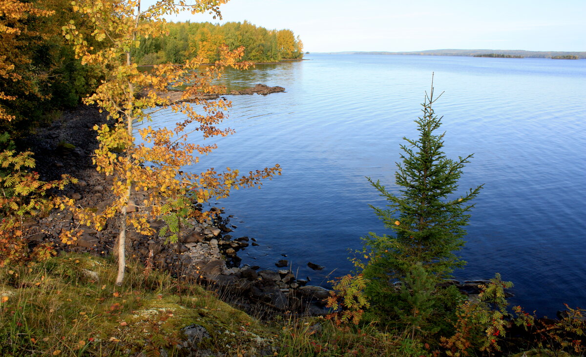 Осенняя река Карелия