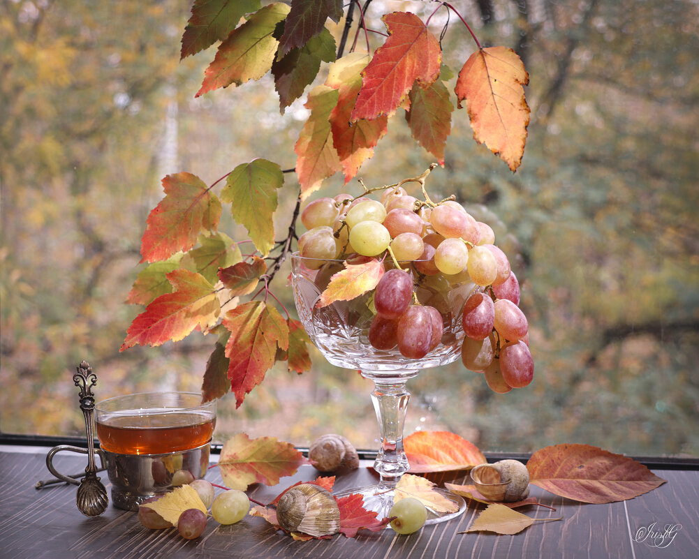 Виноградная осень - Irene Irene