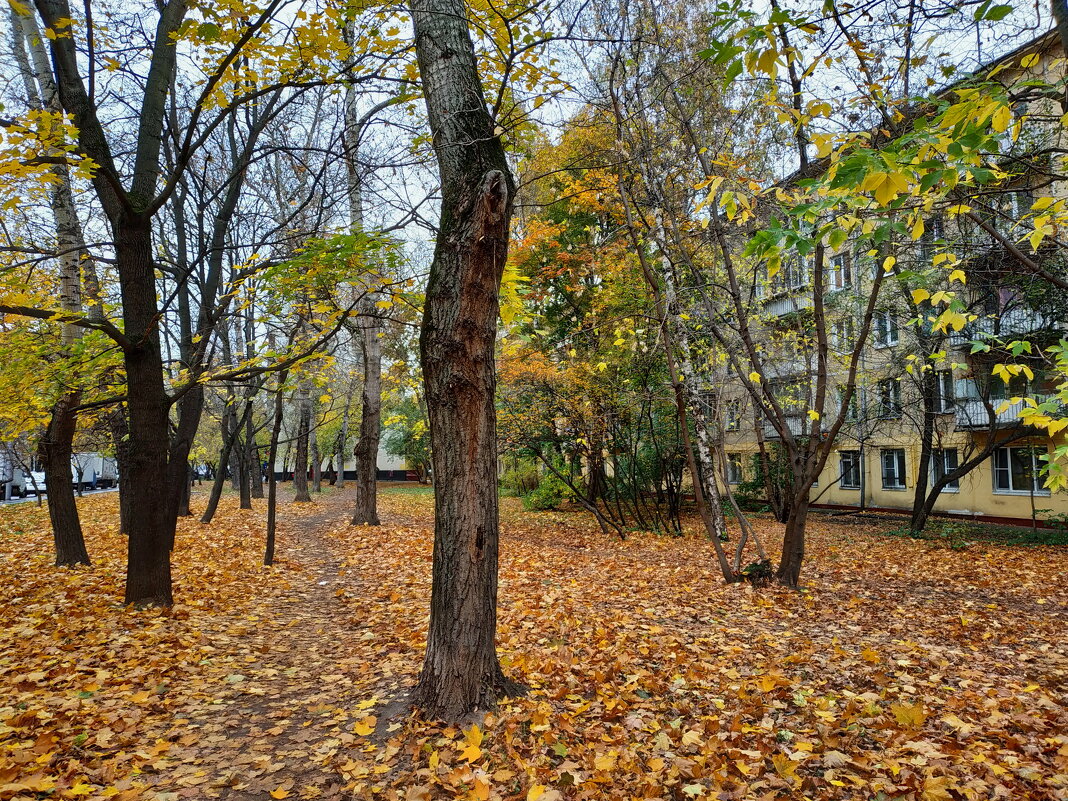 Осень в Москве - Андрей Лукьянов