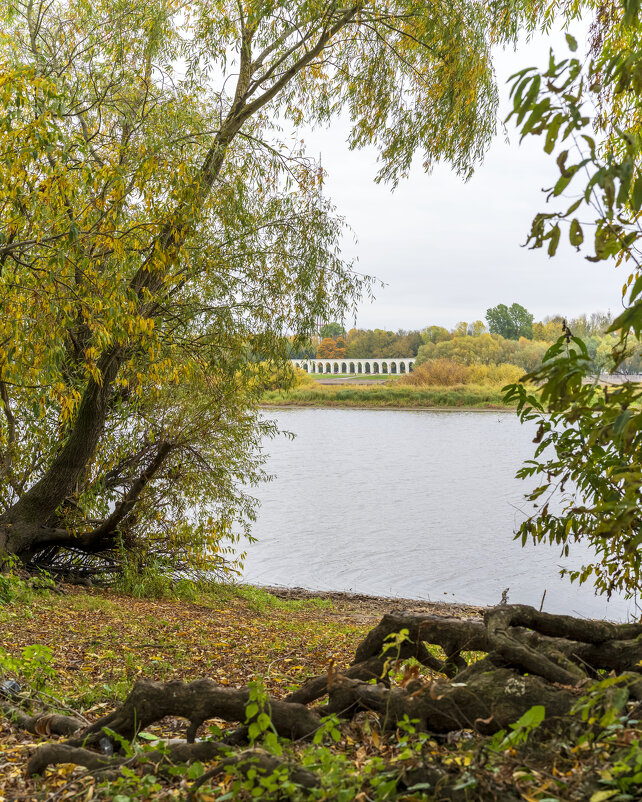 Волхов - Арина 