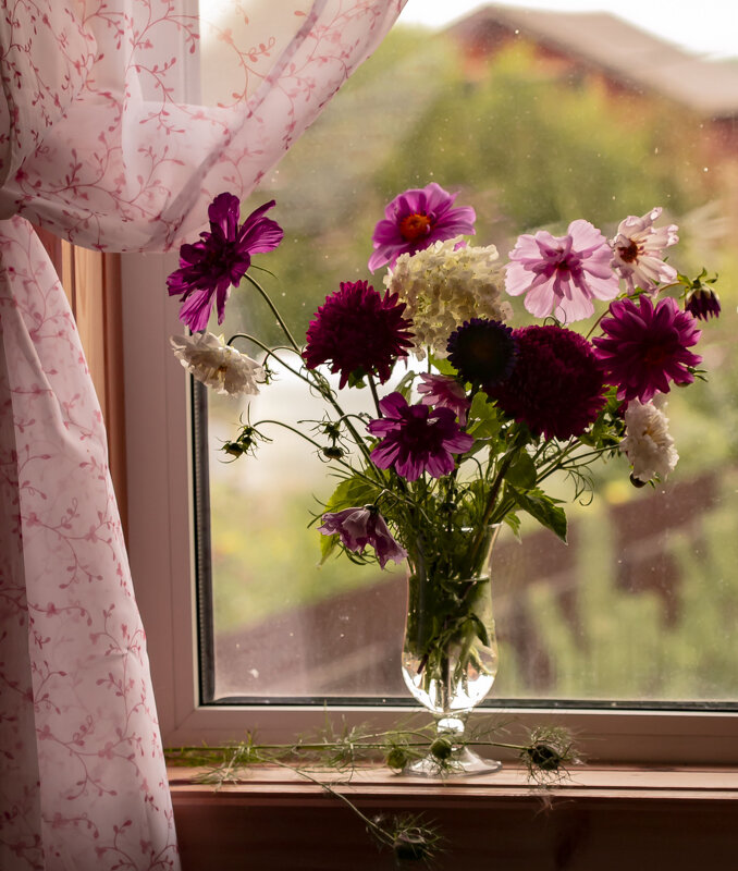 цветы на окне - Наталья Крюкова