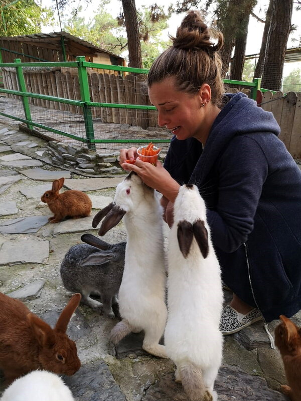 Встреча с кроликами - Ольга Довженко