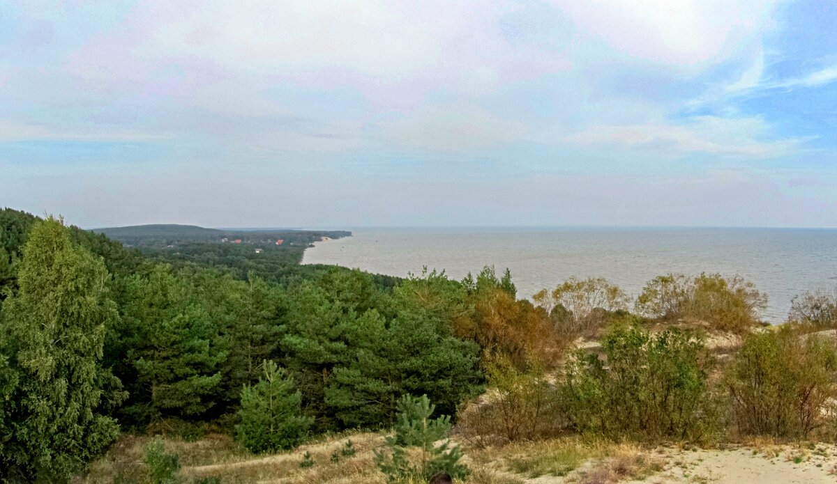 Вид с горы Эффа на пос.Морское и Калининградский залив - Сергей Карачин