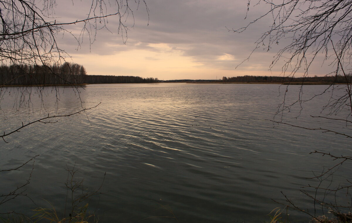 Осеннее озеро - Нэля Лысенко