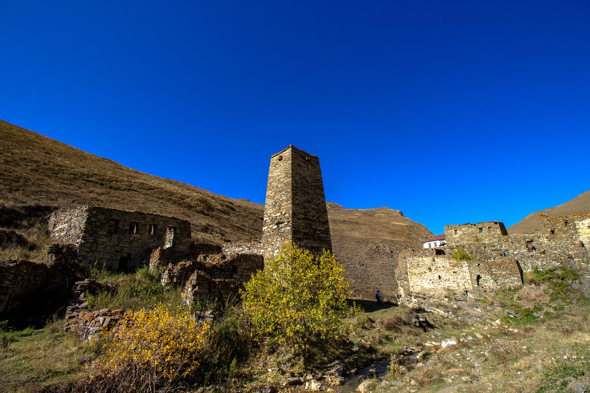 Северная Осетия, Галиат IMG_0736 - Олег Петрушин