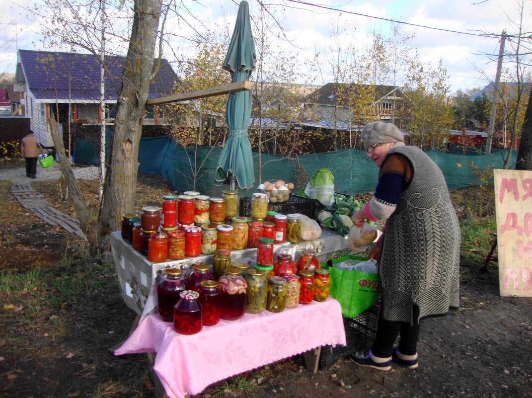 придорожная торговля для москвичей... - Галина Флора