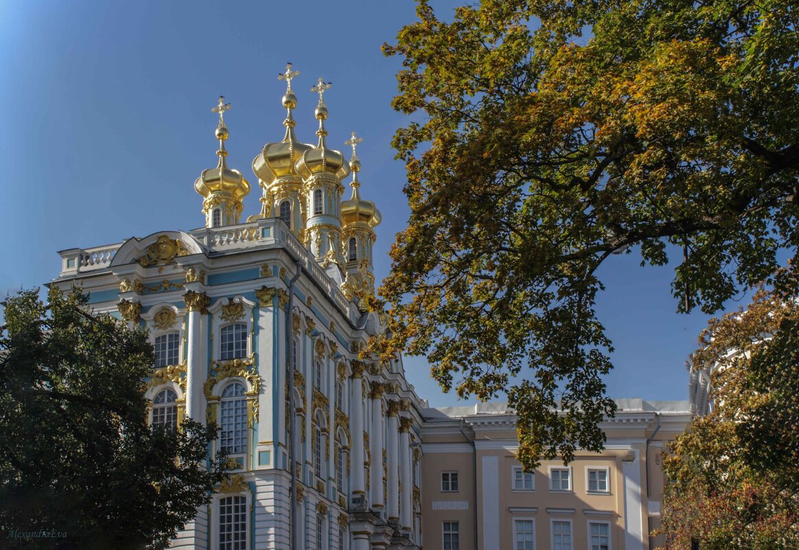 Золото екатерининского дворца - Александра 