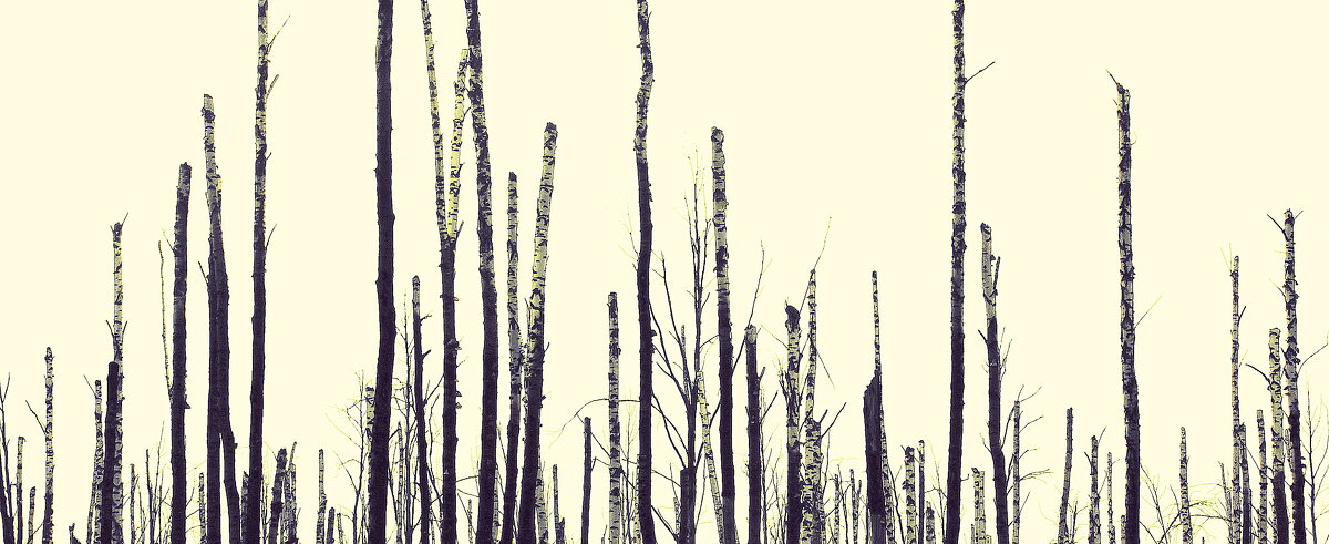 Ощетинившийся лес - Елена Минина