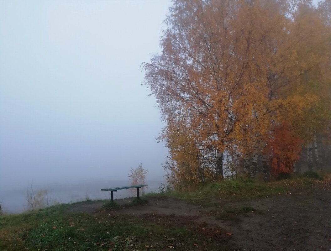 Туман в городе Онега и над рекой - Шаркова Антонина 