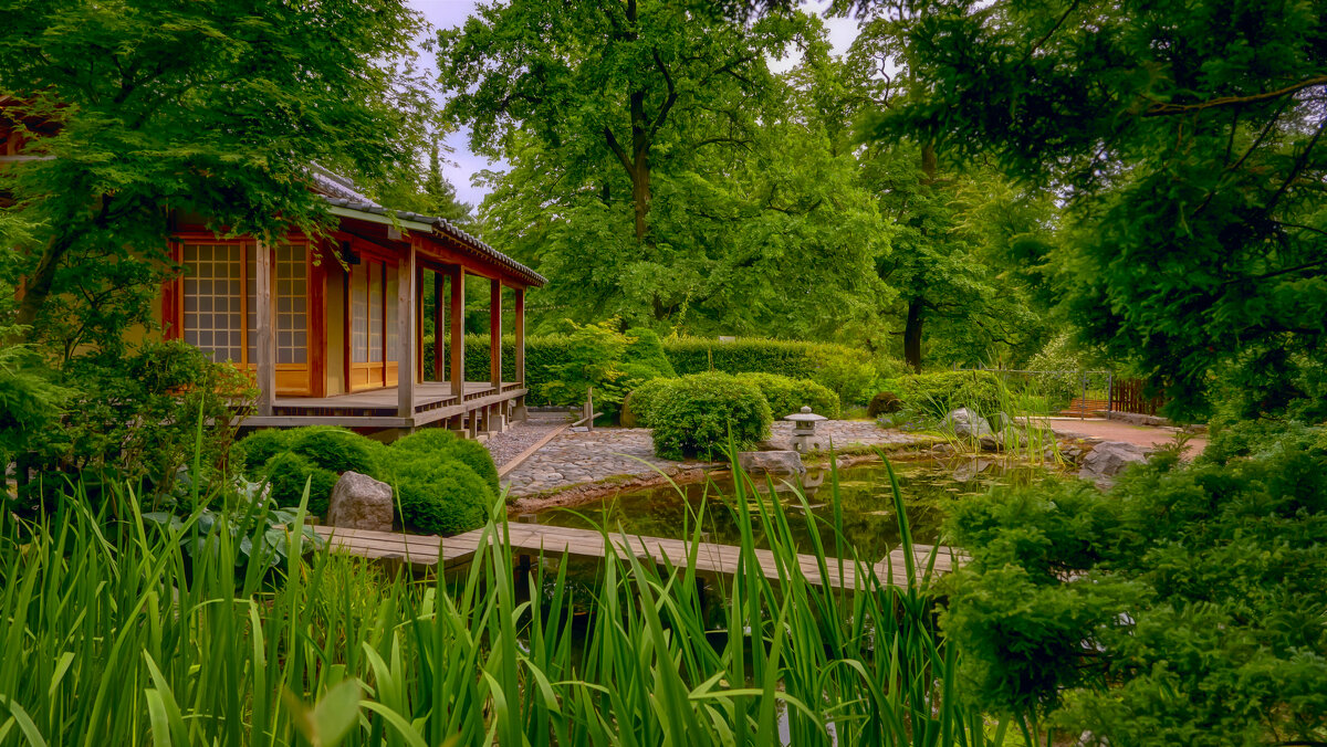 Японский домик в ботаническом саду - Андрей 