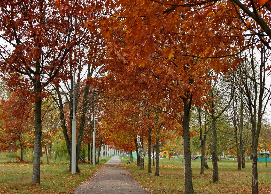 Осенняя аллея в парке - Liliya Kharlamova