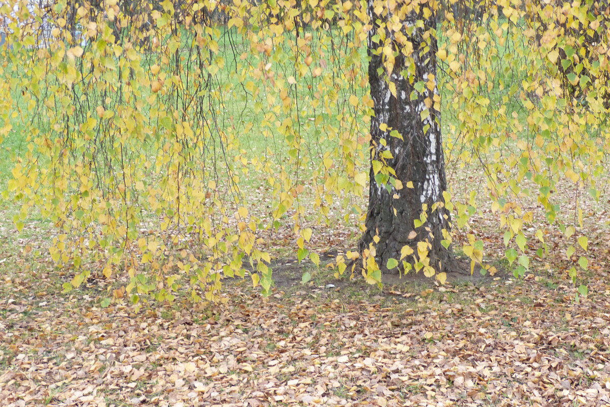 На столе из желтых листьев в платьице простом