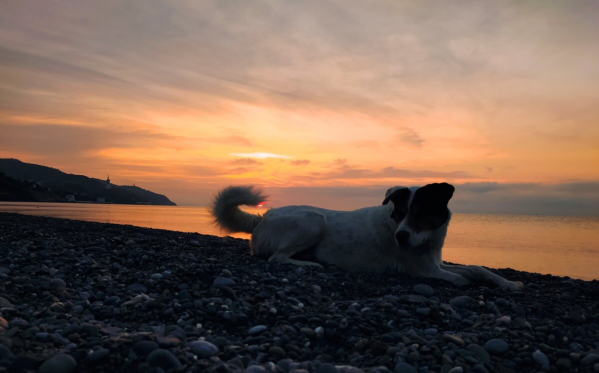 Рассвет. Алушта - Екатерина Кондрашева