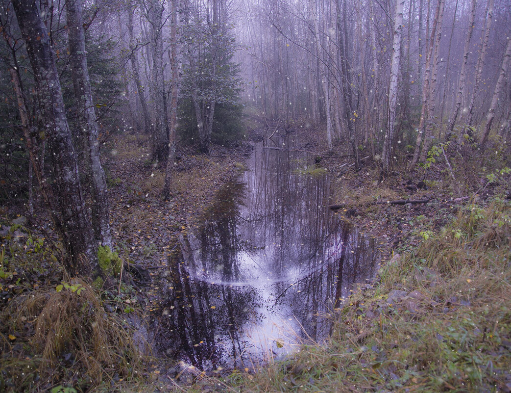 Видение в Уппландском лесу - liudmila drake