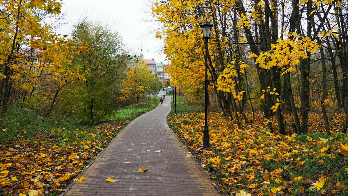 Осень в городе. - Милешкин Владимир Алексеевич 