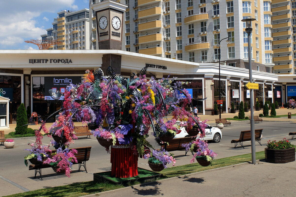 Дерево - Роман Величко