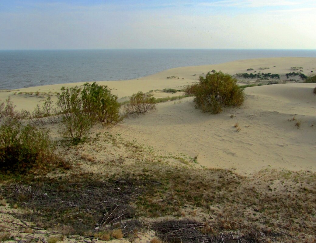 Дюны,море,песок - Сергей Карачин