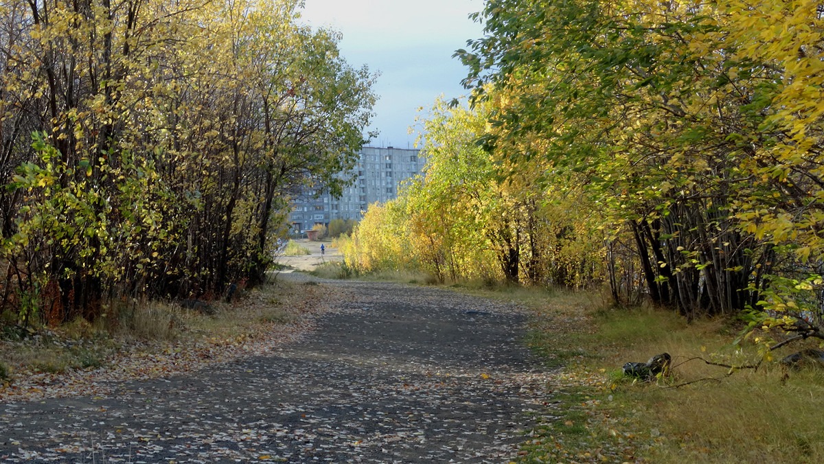 в парке - Людмила Романова