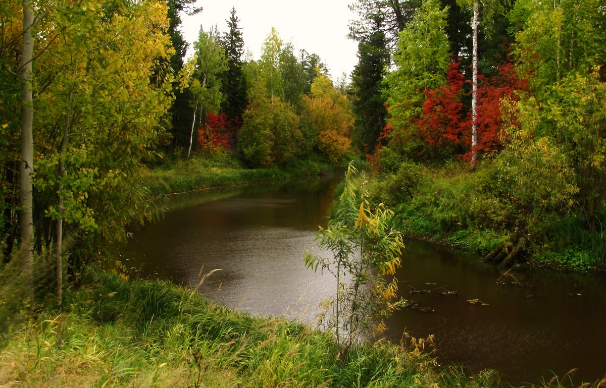 Краски осени. - Анатолий Анищик