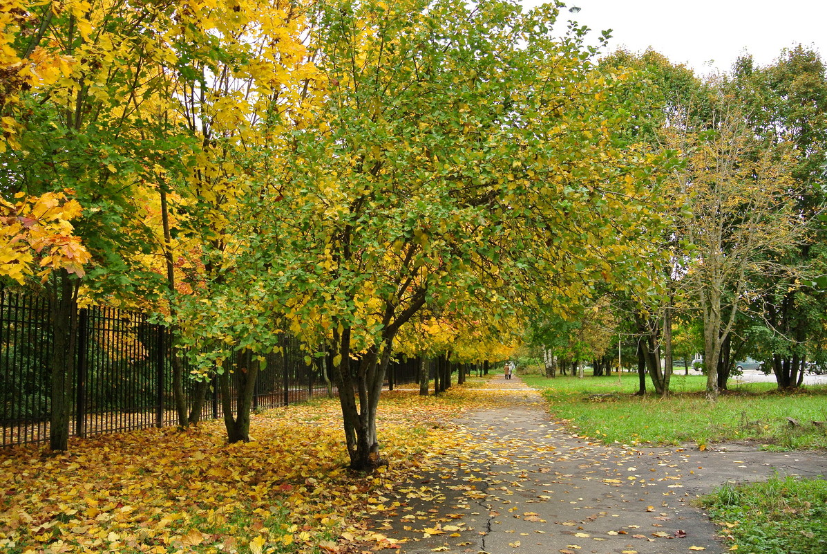 Осень в городе - Nataly_ru 