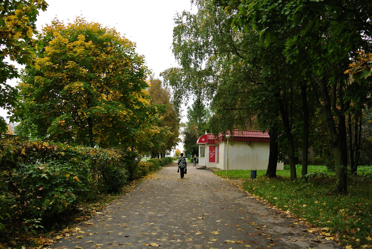 Осенний тротуар - Nataly_ru 