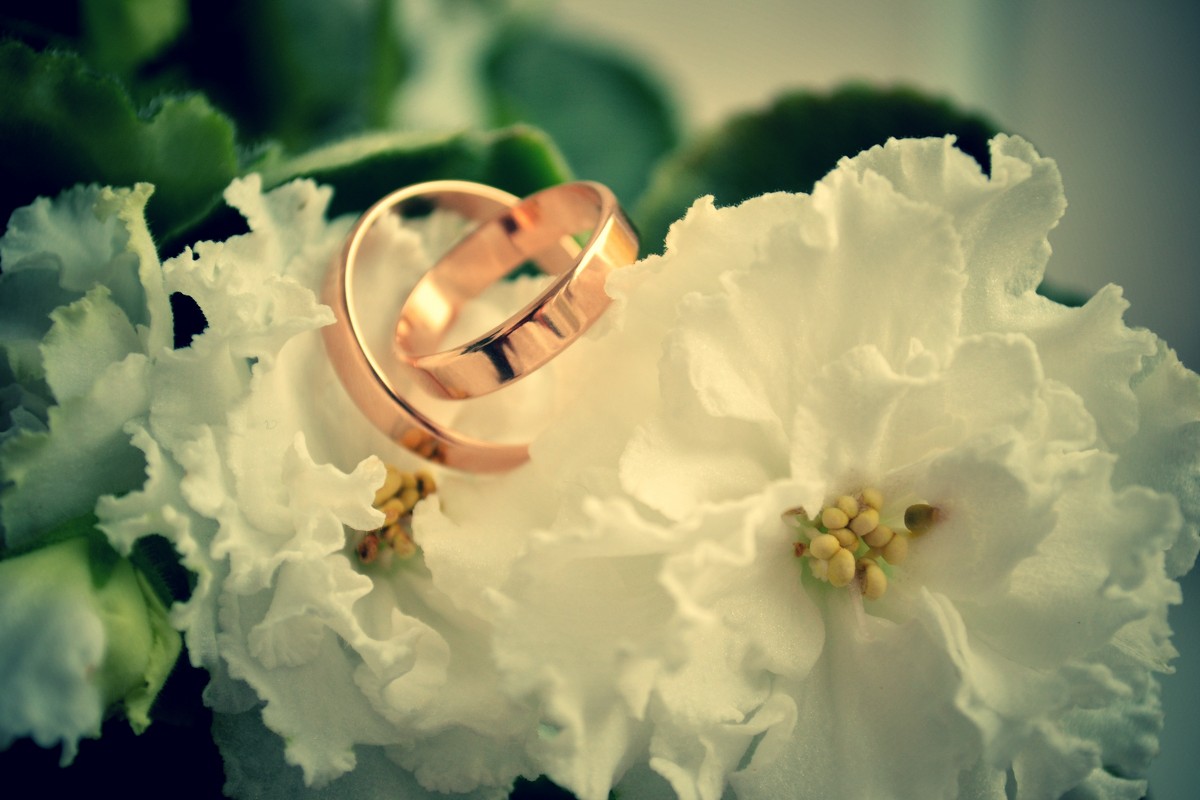 Wedding Rings 5 - Kira Gren