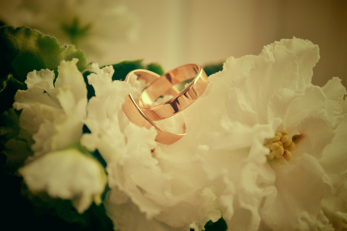 Wedding Rings 4 - Kira Gren