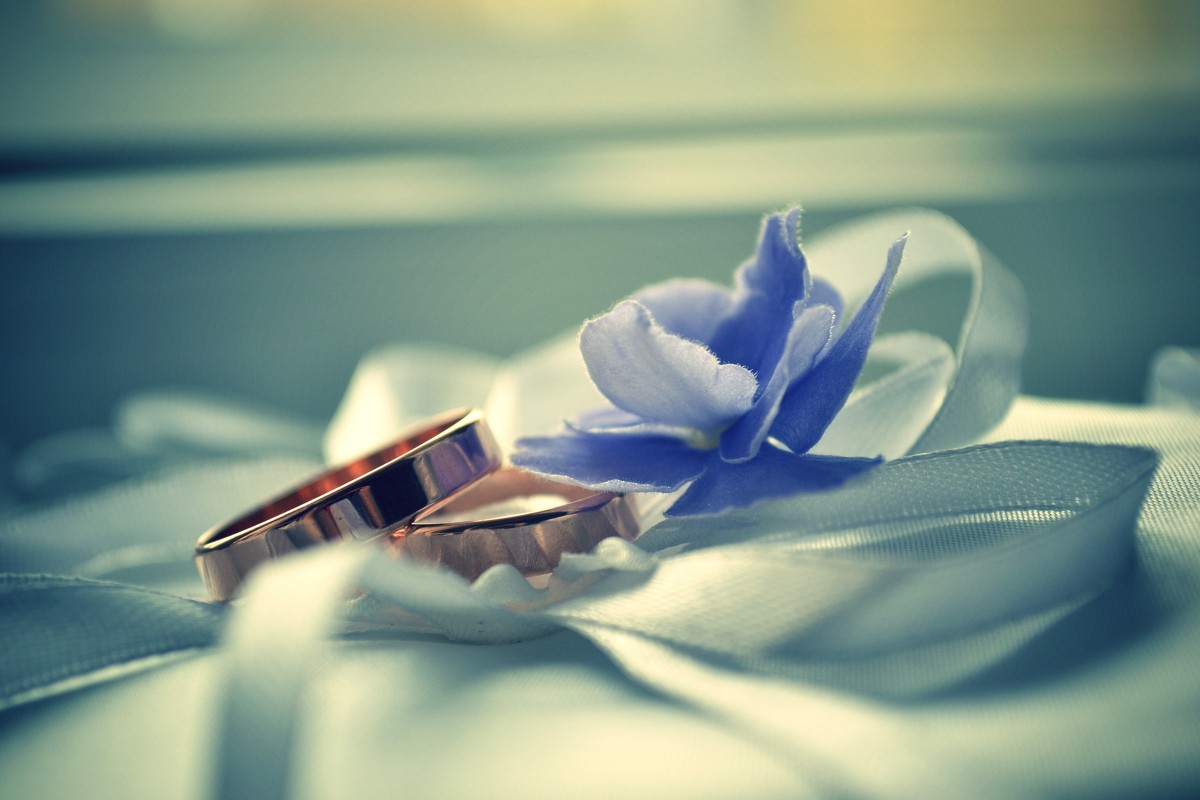 Wedding Rings 3 - Kira Gren