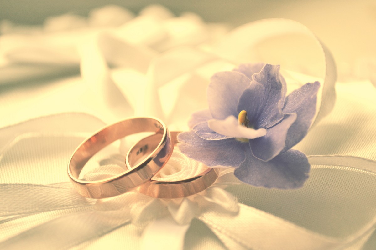 Wedding Rings 2 - Kira Gren
