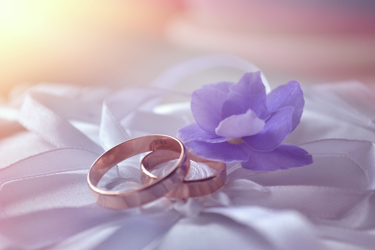 Wedding Rings 1 - Kira Gren