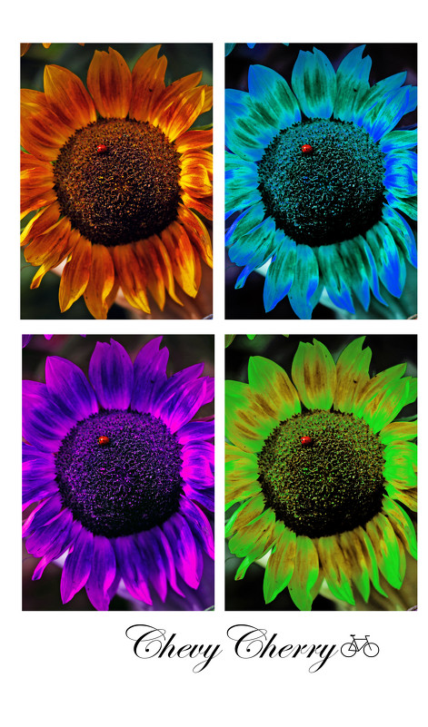 spectrum in the sunflower - Алёна ChevyCherry