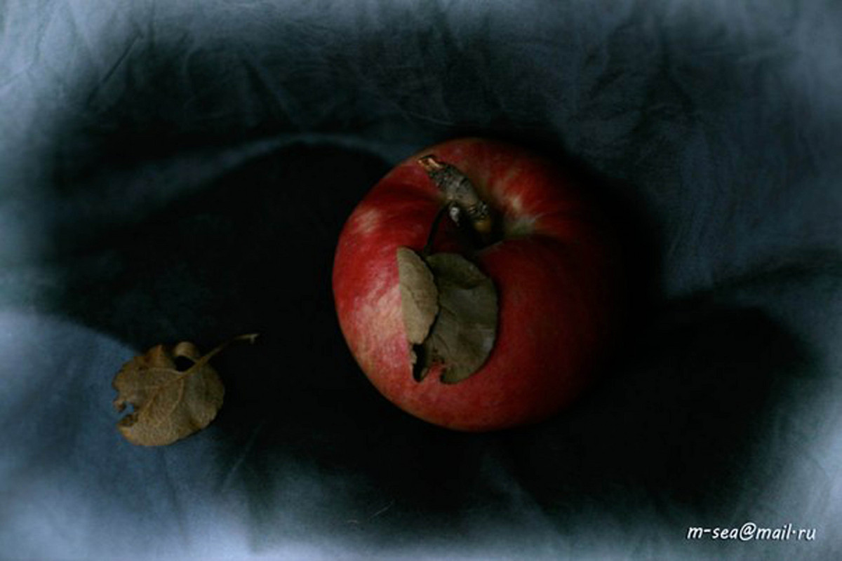 Осеннее яблоко - Марина Захарина