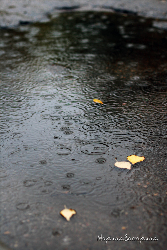 Осенний дождь - Марина Захарина
