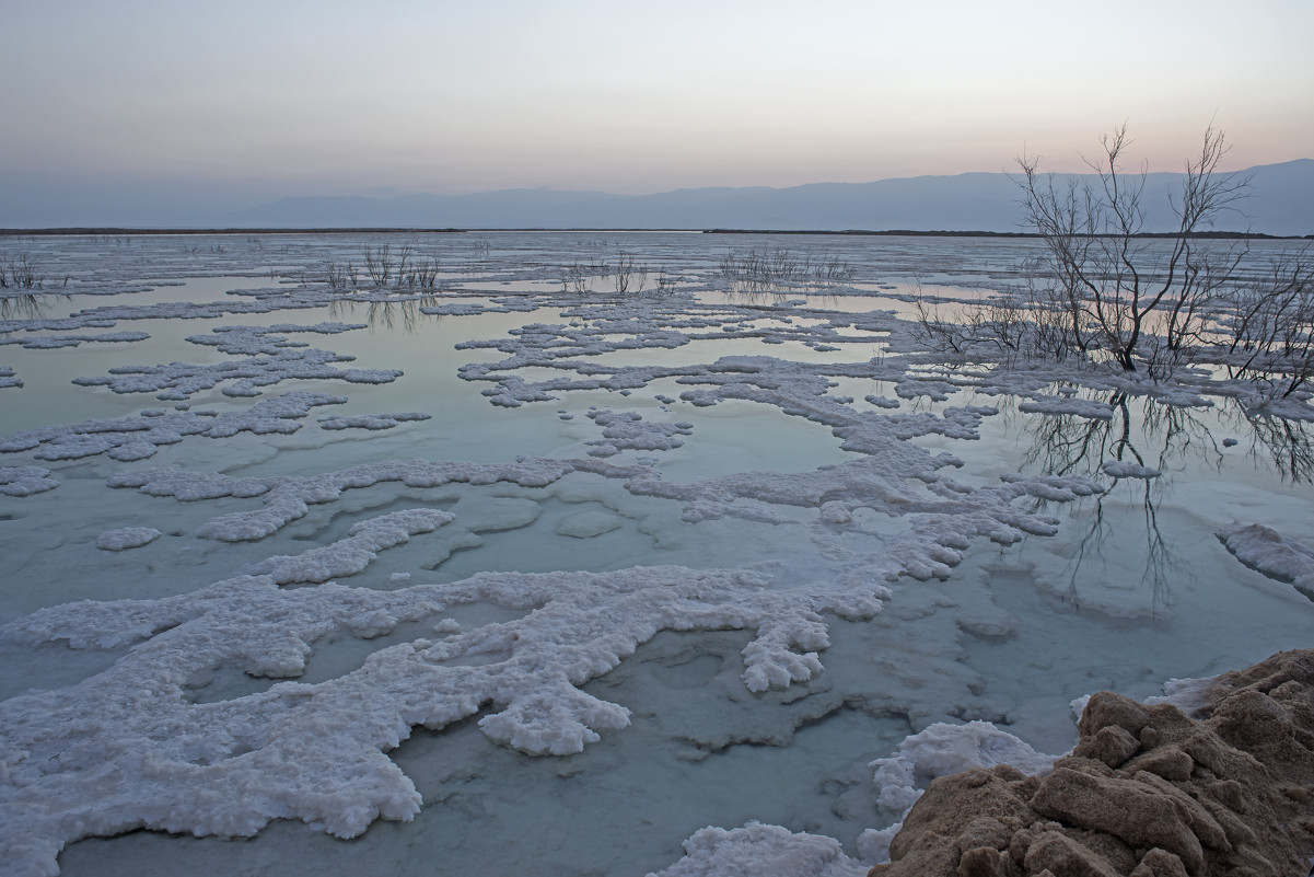 Мертвое море - susanna vasershtein
