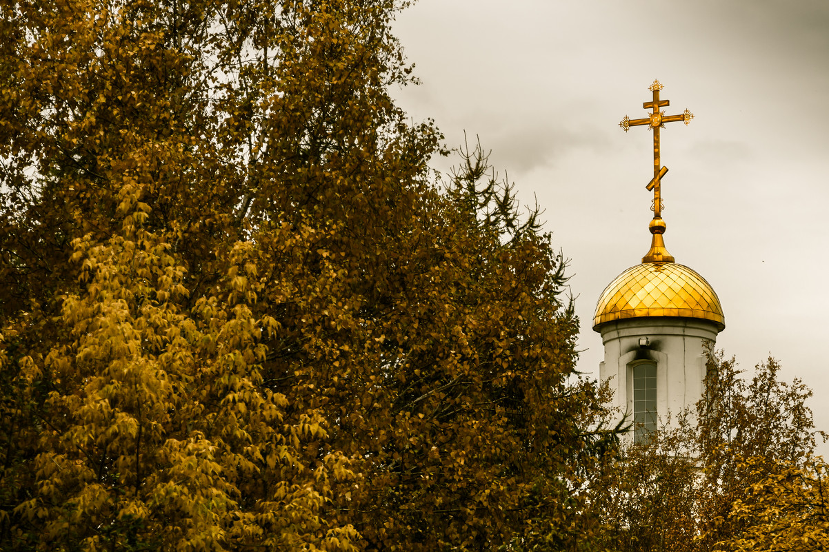 Золотая Осень - Алексей Шалунов